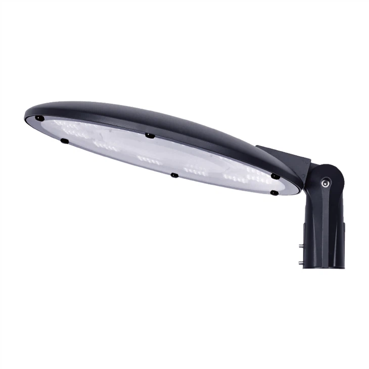 100W Led Garden Light