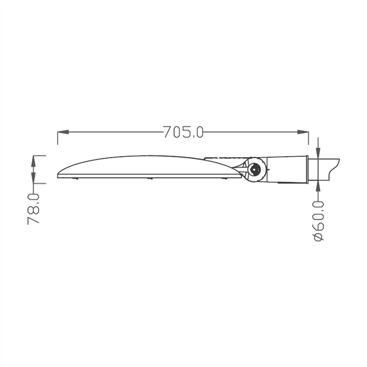 100W Led Garden Light